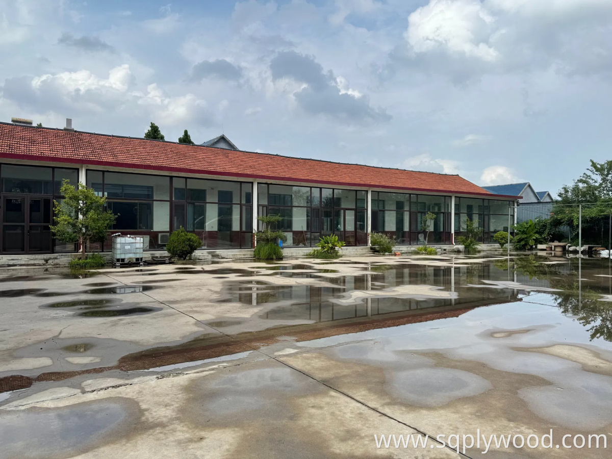 Low-Carbon Mdi Compressed Wood Pallet for Sustainable Logistics and Shipping